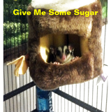 Discover Sugar Glider in Furry Tree Truck Hanging Bed