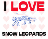 Discover I Love Snow Leopards