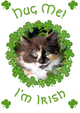Discover St. Patrick’s Day Kitten Hug
