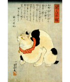 Discover Japanese Cat, Utagawa Kuniyoshi