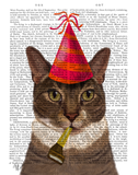 Discover Tortoiseshell Cat with Party Hat