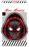 Discover Spider-Man Miles Morales Industrial Graphic