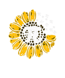 Discover Sun-Flower Pi Day Cool Math Symbols Teacher Studen