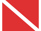 Discover Scuba Diving Logo- Diver's Red White Flag