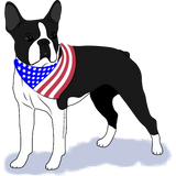 Discover Boston Terrier Patriotic Bandana Flag