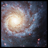Discover Spiral Galaxy Messier 74 White Value T
