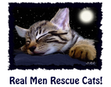 Discover SLEEPING KITTY Collection