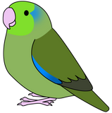 Discover Fluffy wild green pacific parrotlet cartoon