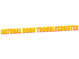 Discover Natural Born Troubleshooter