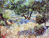 Discover Vincent Van Gogh - Olive Orchard Fine Art