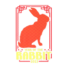 Discover Year Of The Rabbit Chinese New Year 2023