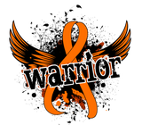 Discover Warrior 16 Multiple Sclerosis