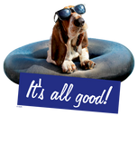 Discover Basset Hound In Sunglasses