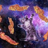 Discover Cat struck bacon with laser eye