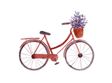 Discover Vintage Red Bicycle with Lavender  Watercolor