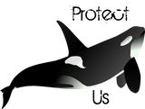 Discover Protect Us Orca Environmental Warning