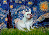 Discover French Bulldog (4W) - Starry Night