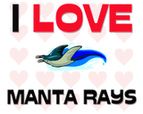 Discover I Love Manta Rays