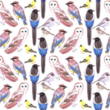 Discover Birds of America in watercolor- Bird lovers