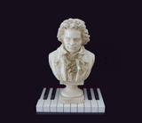 Discover Beethoven Black