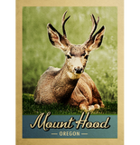 Discover Mount Hood Oregon Vintage Travel Deer