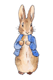 Discover Peter Rabbit