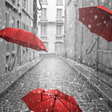 Discover Black and White - Red Umbrella