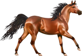 Discover Horse Lover, Stallion,  Horses Equestrian Cow