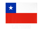 Discover Lautaro Republica Chile Flag Emblem Escudo Bandera