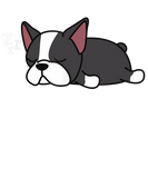 Discover Lazy Boston Terrier Sleep