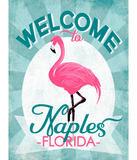 Discover Naples Florida Pink Flamingo - Vintage Retro Trave