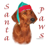 Discover Redbone Coonhound Santa Paws