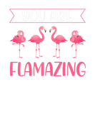Discover You Are Flamazing Flamingo