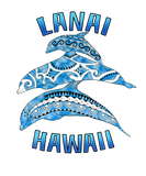 Discover Lanai Hawaii Vacation Tribal Dolphins