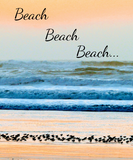 Discover "Beach, Beach, Beach..."
