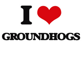 Discover I love Groundhogs