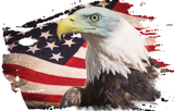 Discover American Bald Eagle on distressed flag