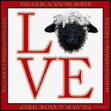 Discover Love Valais Blacknose Sheep T