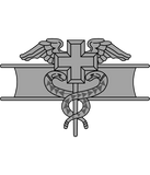 Discover Army Expert Field Medical Badge
