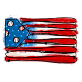 Discover AMERICAN FLAG BASEBALL HOME RUN SEASON PITCH BAT B
