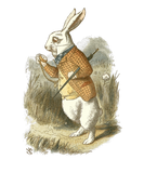 Discover White Rabbit Alice-In-Wonderland Halloween