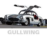 Discover 300 SL - GULLWING