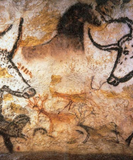 Discover Lascaux Bulls Buffalo Cave Painting