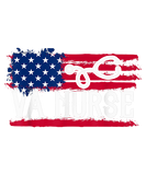 Discover American Flag VA Nurse Patriotic 4th of July Vinta