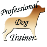 Discover Professional Dog Trainer