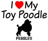 Discover Baby Loves Toy Poodle Dog
