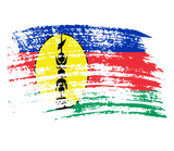 Discover Cool New Caledonian flag design