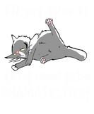 Discover Funny Cat I'll get over it I just need to be DRAMA