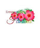 Discover Crescent Beach Florida Tropical Flowers Family Vac