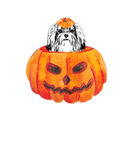 Discover Shih Tzu Dog Happy Halloween Pumpkin